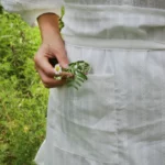 White Ruffled Half Apron