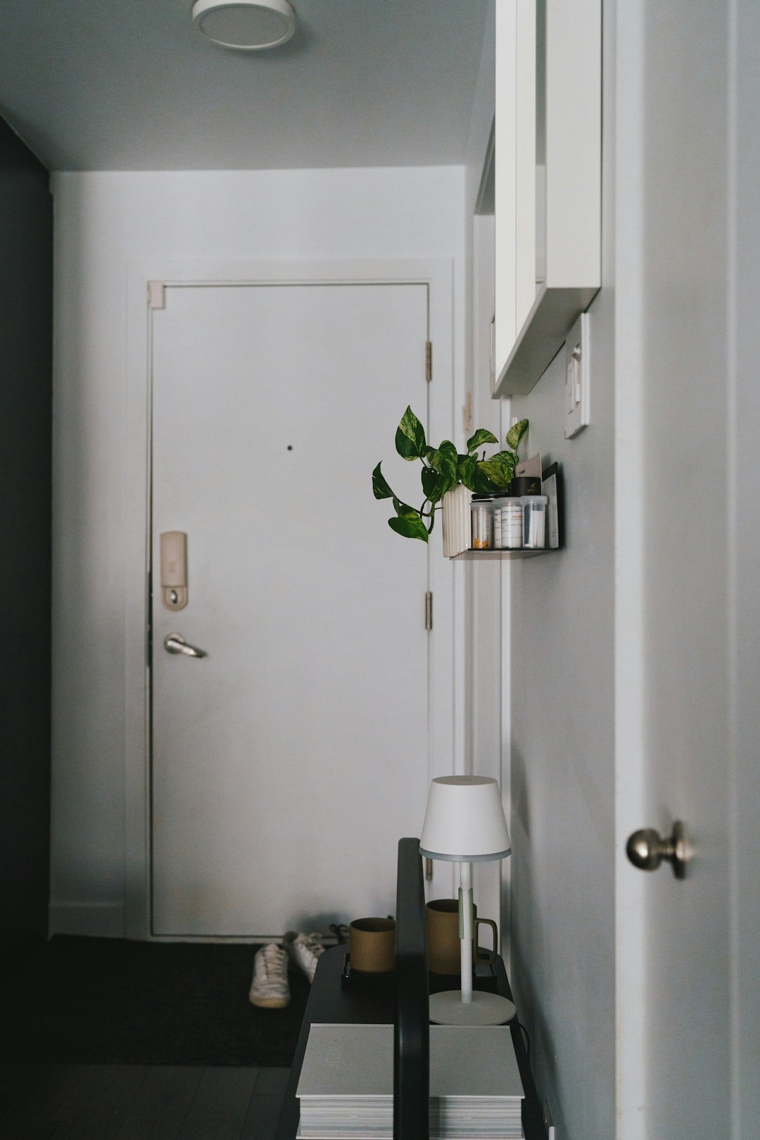 Organized small apartment entryway with hooks, storage, and a plant